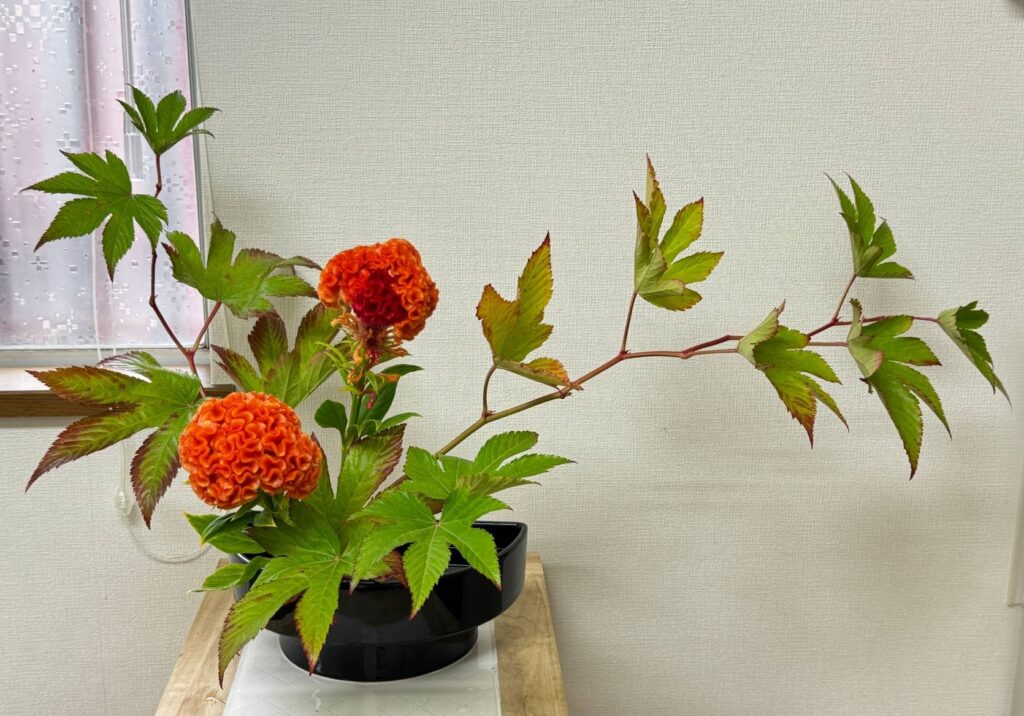 紅葉木苺と鶏頭のいけばな作品